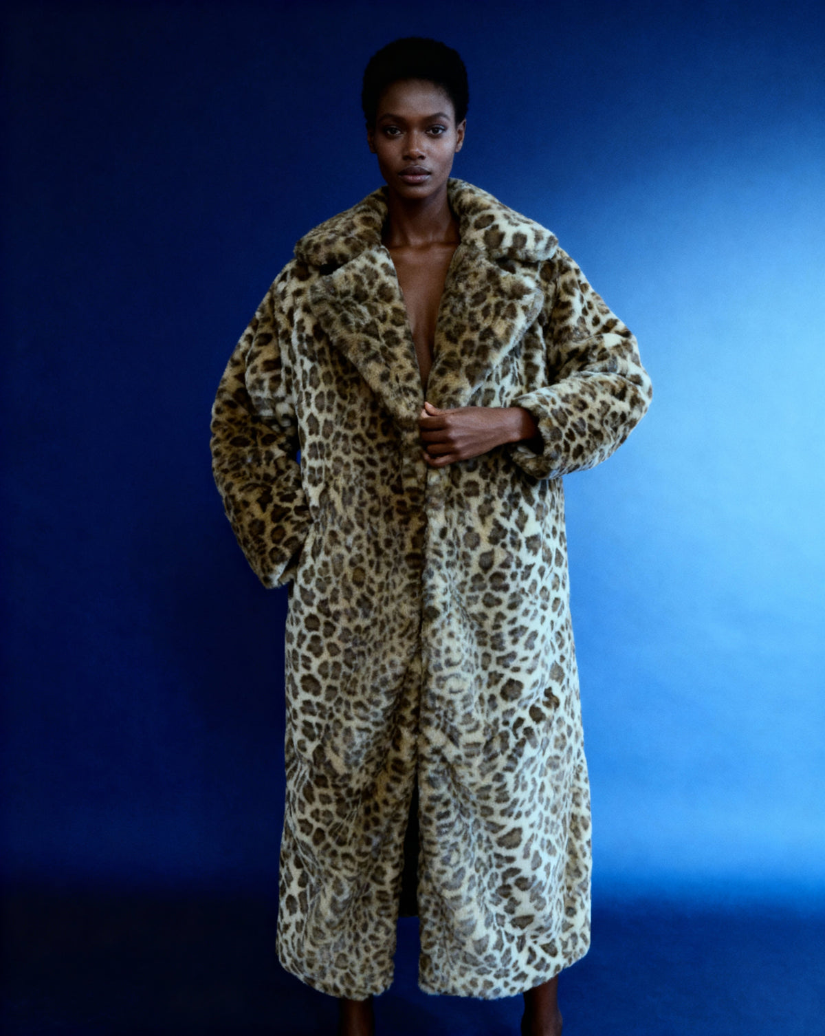 Cocoa leopard faux-fur coat fastened at the waist in an oversized cut, navy-blue backdrop